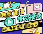 大鹏·电商直播带货课,系统学习直播带货各环节技巧和套路-副业宇宙