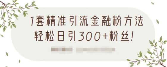 1套精准引流金融粉方法，轻松日引300+粉丝-副业宇宙