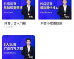 湛北·抖音小店入门进阶高阶合集,八大玩法打造百万店铺-副业宇宙