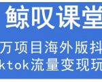 鲸叹号·海外TIKTOK训练营，百万项目海外版抖音tiktok流量变现玩法-副业宇宙