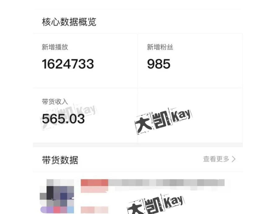 大凯进阶圈新玩法之拼多多视频玩法，利润大概一个号一天能有500~1500的左右!-副业宇宙