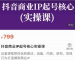 抖音商业IP起号核心实操课,带你玩转算法,流量,内容,架构,变现-副业宇宙