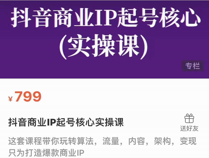 抖音商业IP起号核心实操课，带你玩转算法，流量，内容，架构，变现-副业宇宙