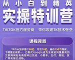 Seven漆·2022Tiktok从小白到精英实操特训营,带你掌握Tiktok账号运营-副业宇宙