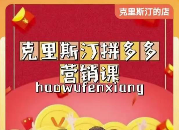 克里斯汀拼多多运营课，适合小白初涉平台，低成本入门-副业宇宙