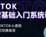 Tiktok实操进阶课程,体验从tiktok小透明到大佬的完美蜕变-副业宇宙