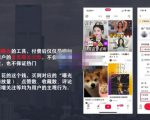 麦子互娱短视频带货·0基础做好物分享账号，无需出镜无需货源无需拍摄-副业宇宙