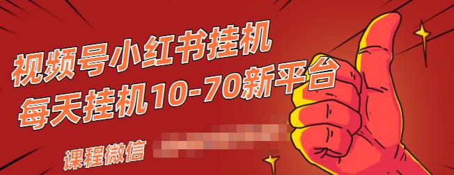 视频号小红书抖音挂机项目，小白无脑操作，按照要求来，单号每天几十米-副业宇宙