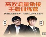 高效流量承接主播训练营:快速提升主播能力,实现100万销售直播间-副业宇宙