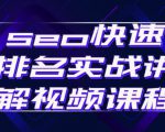 seo快速排名实战讲解视频课程，揭秘seo快排原理-副业宇宙