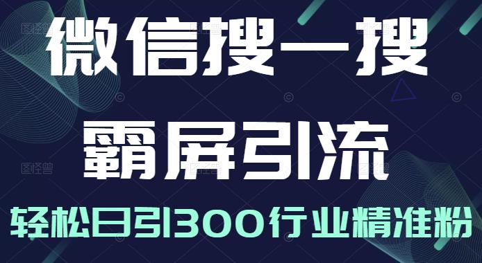微信搜一搜霸屏引流课，打造被动精准引流系统，轻松日引300行业精准粉-副业宇宙