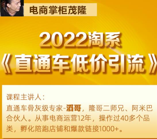 茂隆2022直通车低价引流玩法，教大家如何低投入高回报的直通车玩法-副业宇宙