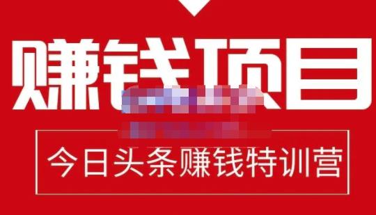 懒人领域·今日头条项目玩法，头条中视频项目，单号收益在50—500可批量-副业宇宙