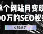 单个网站月变现100万的SEO秘密,百分百做出赚钱站点-副业宇宙