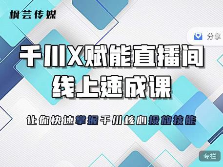 枫芸传媒-线上千川提升课，提升千川认知，提升千川投放效果-副业宇宙