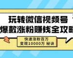 玩转微信视频号爆款涨粉赚钱全攻略,快速涨粉百万变现万元秘诀-副业宇宙