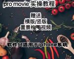 漆十二美食摄影,25节promovie实操高手课节-副业宇宙