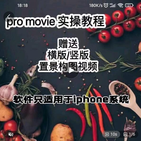 漆十二美食摄影，25​节promovie实操高手课节-副业宇宙