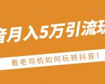 老古董·抖音月入5万引流玩法，看看老司机如何玩转抖音(附赠：抖音另类引流思路)-副业宇宙