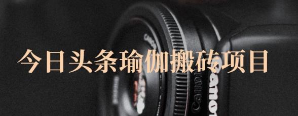 猎人社区·今日头条瑜伽搬砖项目，单号一天几十收入，可以批量操作！-副业宇宙