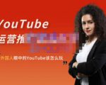 外国人眼中的YouTube该怎么玩?Elisa·YouTube运营推广实战技巧-副业宇宙