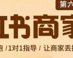 贾真-小红书商家营第6期商家版,21天带货陪跑课,让商家丢掉付流量-副业宇宙