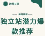【跨境B哥】独立站潜力爆款选品推荐，测款出单率高达百分之80-副业宇宙