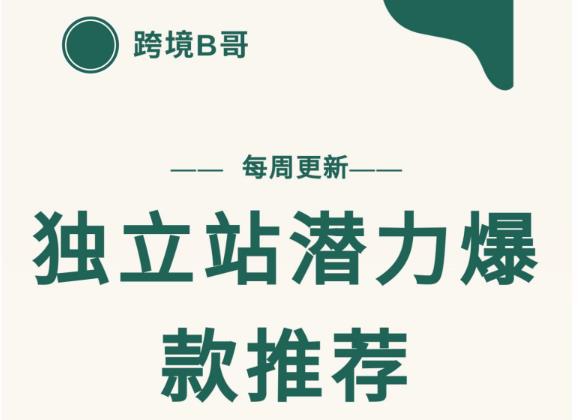 【跨境B哥】独立站潜力爆款选品推荐，测款出单率高达百分之80-副业宇宙