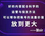 张sir账号流量增长课,告别海王流量,让你的流量更精准-副业宇宙