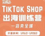 疯人院:TikTok Shop出海训练营（一店卖全球)，出海抢占全球新流量-副业宇宙
