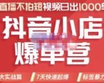 推易电商·2022年抖音小店爆单营，不直播、不拍短视频、日出1000单，暴力玩法-副业宇宙