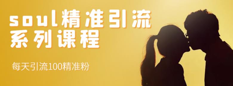 soul精准引流系列课程，每天引流100精准粉-副业宇宙