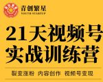 张萌21天视频号实战训练营，裂变涨粉、内容创作、视频号变现 价值298元-副业宇宙