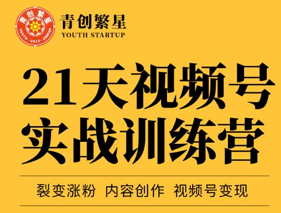 张萌21天视频号实战训练营，裂变涨粉、内容创作、视频号变现 价值298元-副业宇宙