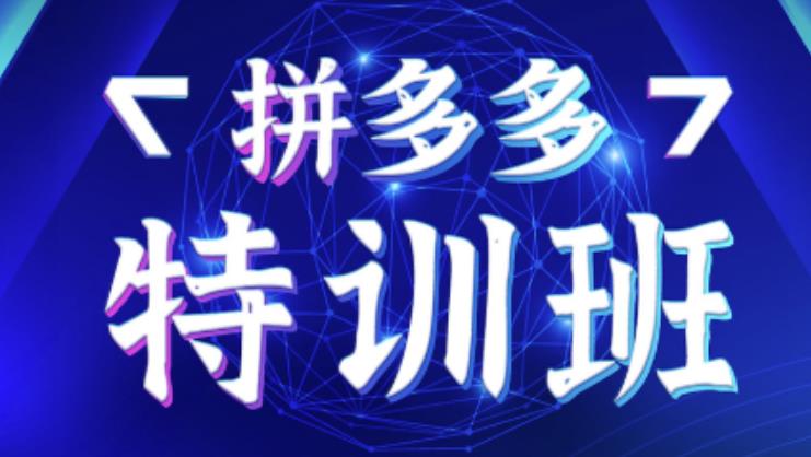 星雪教育·拼多多基础班+进阶班+突破班，用系统的学习模式快速改变现状价值3580元-副业宇宙
