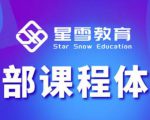 星雪教育淘系高级班，更全的运营提升方案，零基础由浅入深，店铺最新玩法-副业宇宙