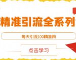 闲鱼精准引流全系列课程,每天引流100精准粉【视频课程】-副业宇宙
