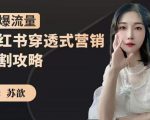 苏歆:小红书穿透式营销收割攻略,引爆流量,助你玩转小红书-副业宇宙