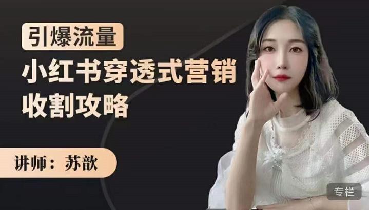 苏歆：小红书穿透式营销收割攻略，引爆流量，助你玩转小红书-副业宇宙