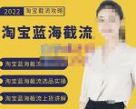 2022淘宝蓝海截流攻略，淘宝蓝海截流选品上货实操讲解-副业宇宙