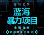引流哥蓝海暴力躺赚项目:无需发圈无需引流无需售后,每单赚50-500(教程+线报群)-副业宇宙