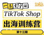 TikTokShop出海训练营（第十三期），打开全球流量新思维，出海抢占全球新流量，一店卖全球-副业宇宙
