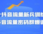 Peter抖音流量新兵训练营-破解抖音流量密码群爆训练营(新兵)-副业宇宙