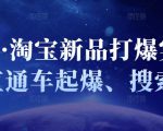 凌童·淘宝新品打爆实战班,直通车起爆、搜索起爆-副业宇宙