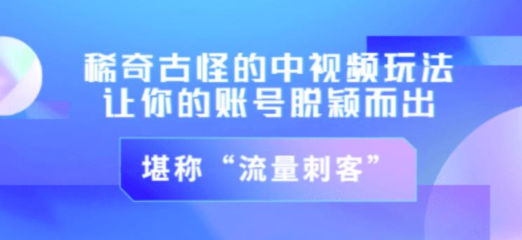 不讲李·稀奇古怪的冷门中视频冷门玩法，让你的账号脱颖而出，成为流量刺客！（图文+视频）-副业宇宙
