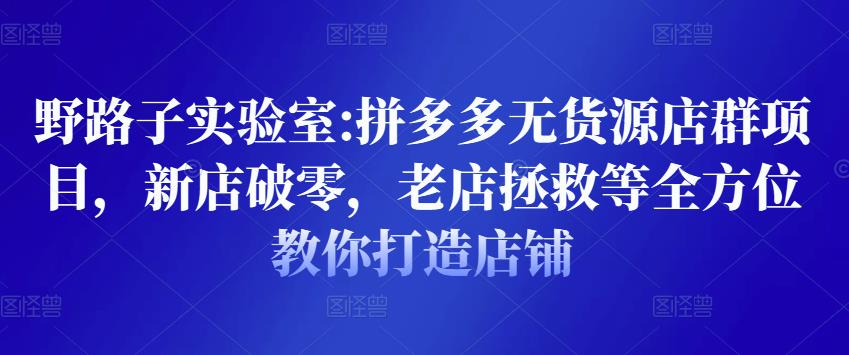 野路子实验室:拼多多无货源店群项目，新店破零，老店拯救等全方位教你打造店铺-副业宇宙