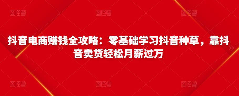 抖音电商赚钱全攻略：零基础学习抖音种草，靠抖音卖货轻松月薪过万-副业宇宙