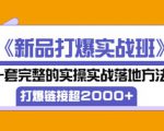 凌童《新品打爆实战班》,一套完整的实操实战落地方法,打爆链接超2000+(28节课)-副业宇宙