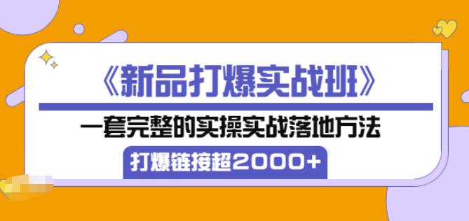 凌童《新品打爆实战班》,一套完整的实操实战落地方法，打爆链接超2000+（28节课)-副业宇宙