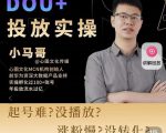 小马哥-Dou+投放实操课，抖加投放，随心推，付费起号逻辑，打破低播放转化-副业宇宙